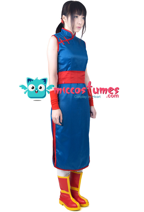 Dragon Ball Z Chi Chi Cosplay Costume - A Edition