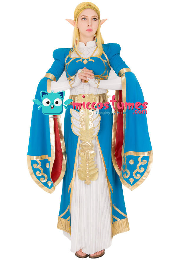 Costume de Zelda Légende de Zelda Cosplay Souffle de la