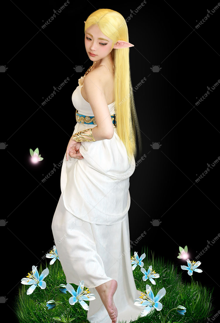 Princess Zelda Costume - Édition Premium Robe avec Tablier et Ceinture ...