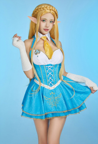 Princess Zelda Derivative Uniform Dress Outfit School Dress with Sleeves Cosplay Costume