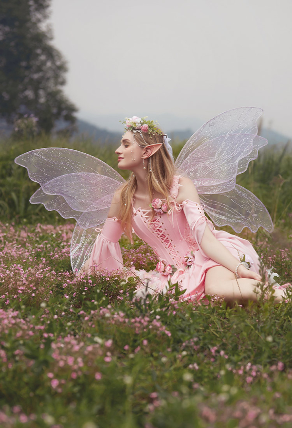 Renaissance Flower Fairy Pink Costume Set Medieval Dress for