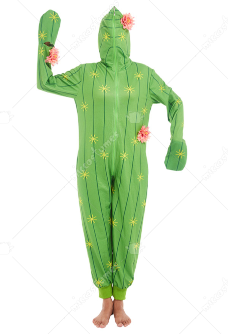 Cactus Print Onesie Pajamas Kigurumi Women Long Sleeves Hooded Adult Onesie Loungewear Outfits For Sale