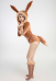 PM Derivative Sexy Lingerie Bodysuit Halloween Plush Fluffy Hooded Deep V Romper and Socks with Belt and Tail