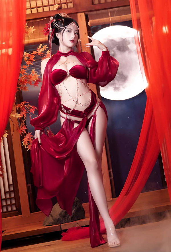 Exotic Dancer Sexy Lingerie Set - Red Velvet Bra Panties with Skirt and  Sleeves Cosplay | Top Quality Lingerie for Sale