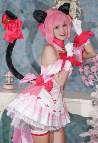 Tokyo Mew Mew Cosplay Costume