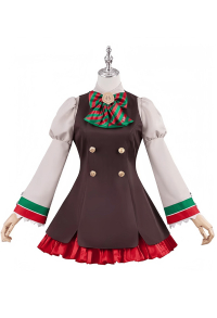 Uma Musume Pretty Derby Nice Nature Cosplay Costume Brown Dresses with tops and skirts
