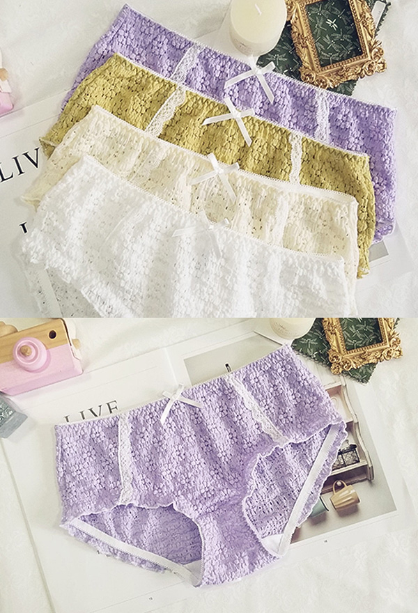 Women's Panties - Low Waist Lace Briefs