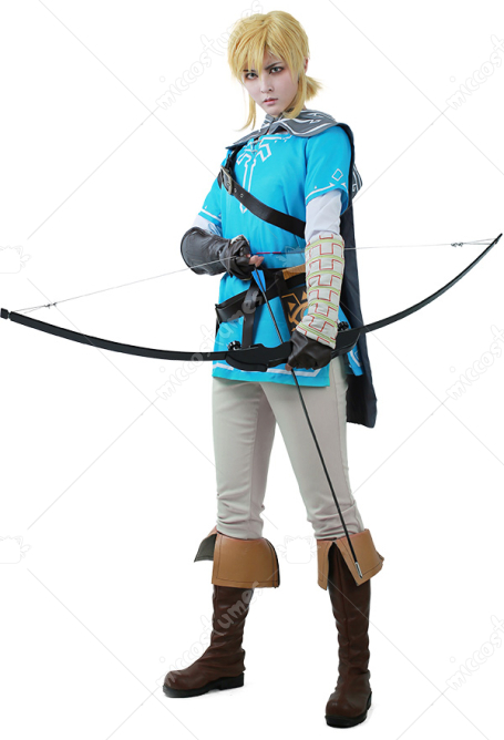 The Legend of Zelda: Breath of the Wild Link Cosplay Costume