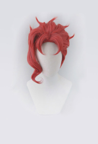 JJBA Noriaki Kakioin Cosplay Wig