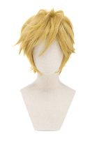 The Legend of Zelda Link Cosplay Wig