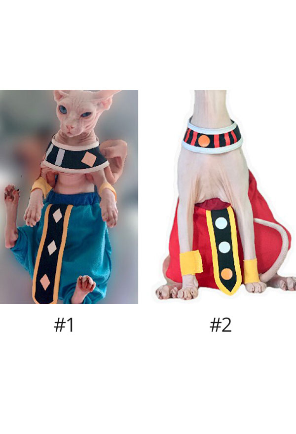 Beerus Derivative Katze Kostüm Haustierkleidung für Sphynx Katze