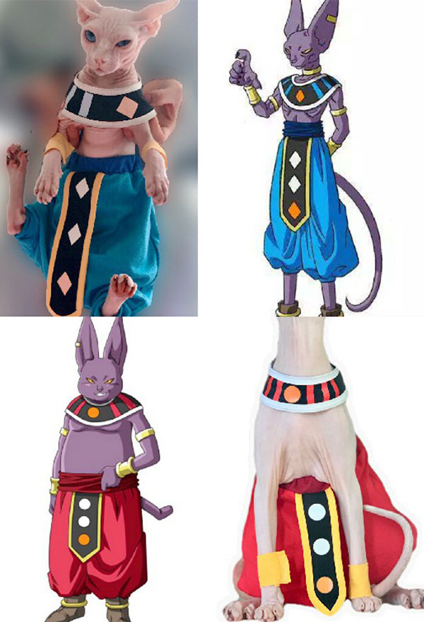 Accessoire pour Sphynx Chat Pets Beerus Champa Dérivé Chat Costume de Cosplay Animal