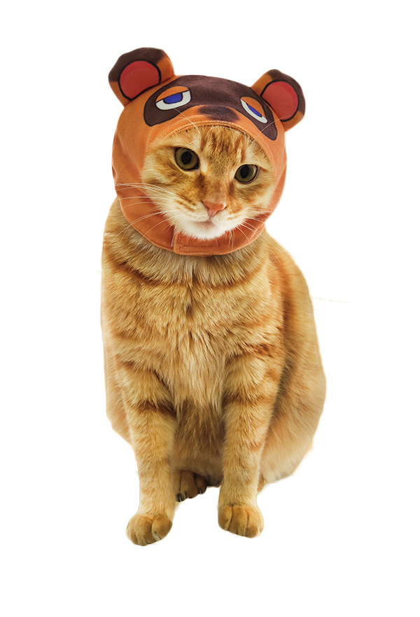 Tanukichi Raccoon Dog Cat Cosplay Costume Hooded Headgear for Small Pets
