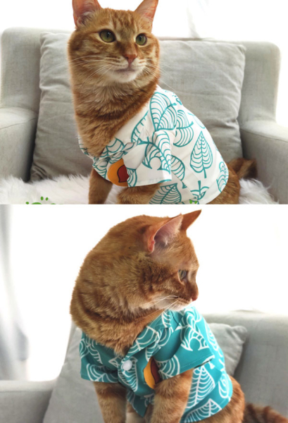 Tanukichi Raccoon Cat Dog Cosplay Costume T-Shirt for Small Pets