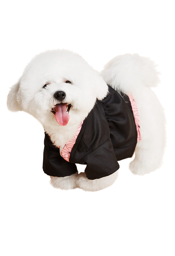 red bean  Haustier Kostüm Hund Kawaii Kimono Cosplay Kostüm