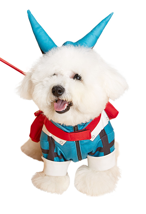 Costume Gilet pour Petit Chats et Chiens Dérivé Izuku Midoriya avec Laisse pour Animaux