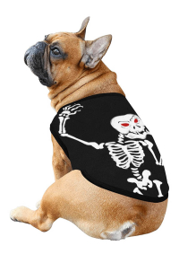 Halloween Personalized Small Dog Costume Cat Sweatshirt with Red-eye Skeleton Pattern
