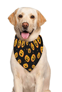 Halloween Personalized Cat Dog Bandana with Pumpkin Pattern