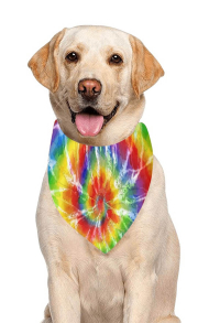 Halloween Personalized Cat Dog Bandana with Rainbow Pattern