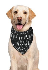 Halloween Personalized Cat Dog Bandana with Black and White Bat Pattern