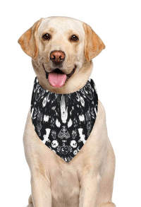 Halloween Personalized Cat Dog Bandana with Skeleton Pattern