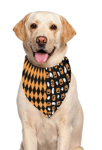 Halloween Personalized Cat Dog Bandana with Pumpkin Diamond Stitching Pattern