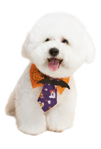 Adorable Halloween Cat Dog Suit Collar Tie with Bat Decoration Spider Web Ghost Pattern