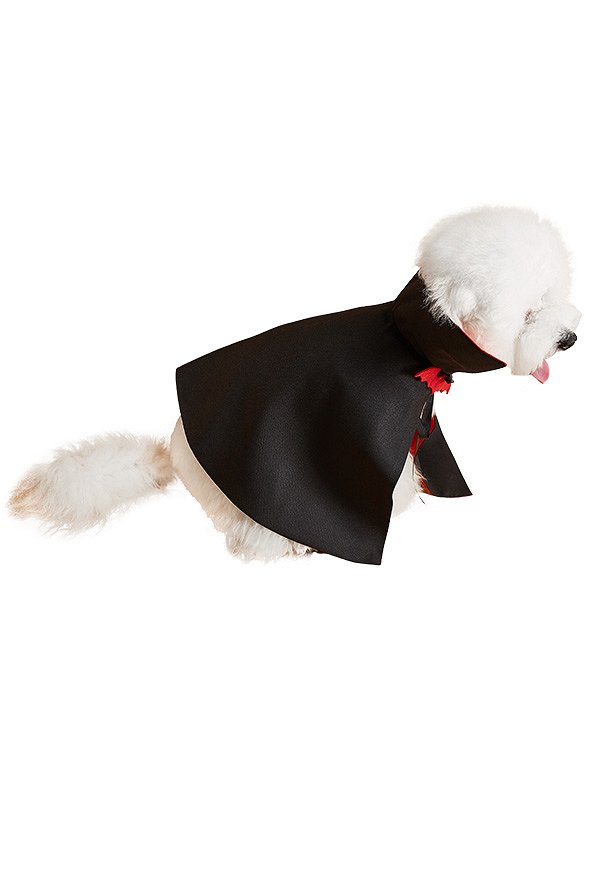 Halloween Hundekostüm Vampir – Roter Umhang Mit Stehkragen, Verstellbar, Für Kleine & Mittelgroße Hunde/Katzen