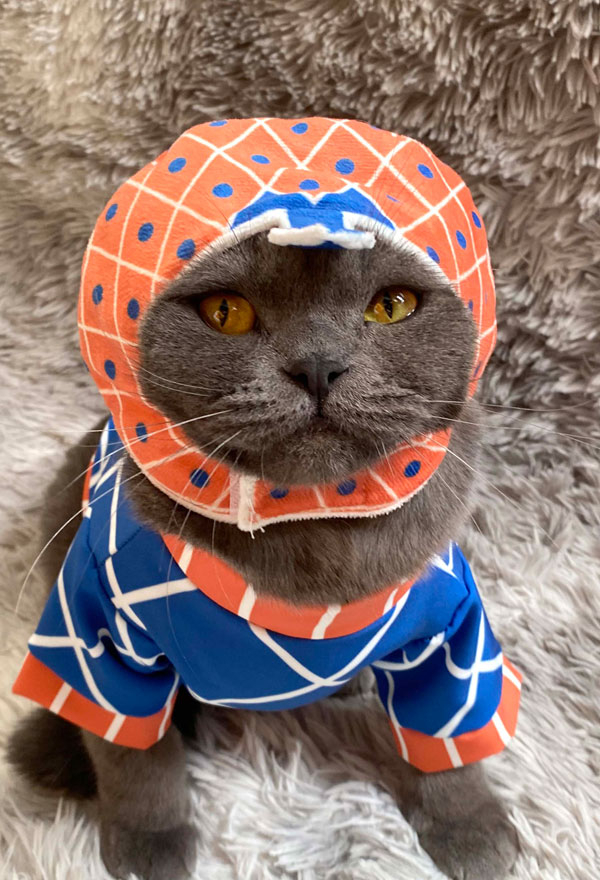 JoJos Guido Misutta Haustier Cosplay Kostüm Katze Hund Hündchen