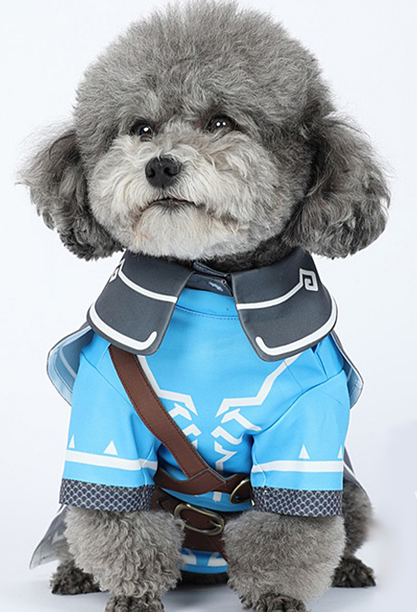 Bluey Dog Costume -  Sweden