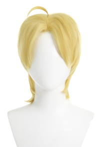 JJBA Steel Ball Run Perruque de Cosplay Dio Bulando Wig